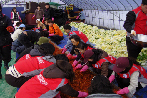 강릉지점 속초하도마을 김장 1500포기 대작전