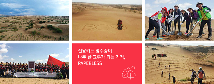신용카드 영수증이 나무 한 그루가 되는 기적, PAPERLESS