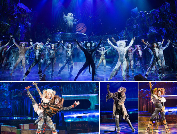 공연 주요 장면을 보여주는 이미지 입니다