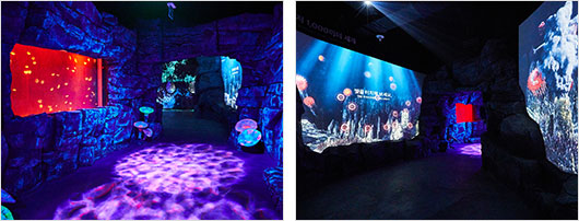 부산 아쿠아리움 내부 전경을 보여주는 사진입니다.