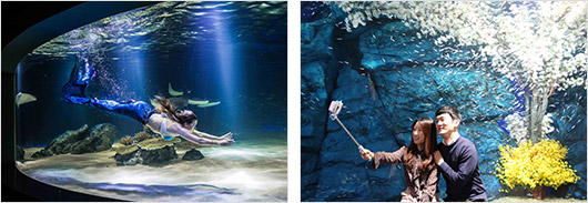 아쿠아플라넷 63 내부 사진