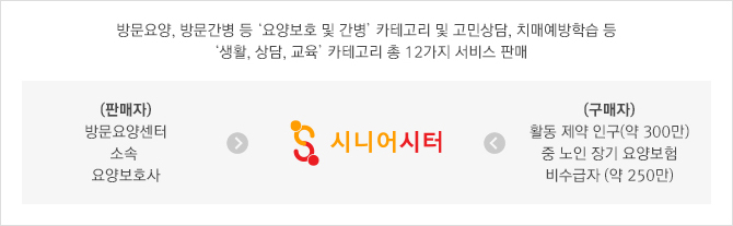 방문요양, 방문간병 등 '요양보호 및 간병' 카테고리 및 고민상담, 치매예방학습 등 '생활, 상담, 교육' 카테고리 총 12가지 서비스 판매/(판매자)방문요양센터 소속 요양보호사/(구매자)활동 제약 인구(약 300만) 중 노인 장기 요양보험 비수급자(약 250만)
