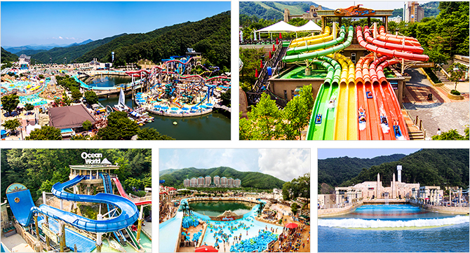 오션월드 관련사진