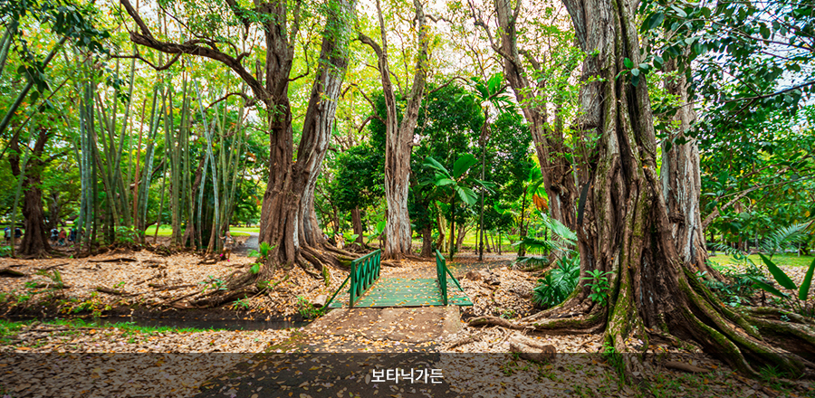 보타닉가든