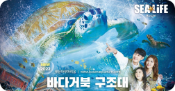 바다거북 구조대