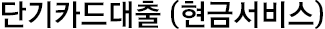 단기카드대출(현금서비스)